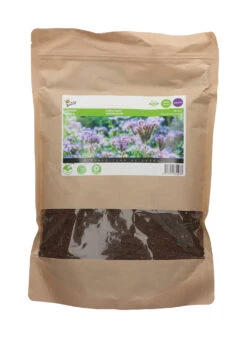 Phacelia Tanacetifolia (1kg) | Phaceliasamen Von Buzzy Seeds