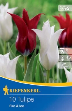 Deutschland Wiesen Pracht Verkaufs-Shop -Deutschland Wiesen Pracht Verkaufs-Shop 554111 Tulpen Mix Fire and Ice 10 Stueck 507081 0
