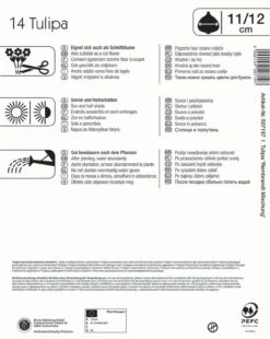 Mega-Pack Rembrandt-Tulpen Mischung (14 Stück) | Tulpenzwiebeln Von Kiepenkerl -Deutschland Wiesen Pracht Verkaufs-Shop 554115 Mega Pack Rembrandt Tulpen Mischung 14 Stueck 507197 1