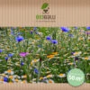 Wilde Apotheke (10 Stück) | Wildblumenwiese Von Biobalu -Deutschland Wiesen Pracht Verkaufs-Shop 554551 Wilde Apotheke 10 Stueck BB1026 3