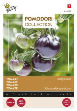 Tomate Pomodori Indigo Rose | Fleischtomatensamen Von Buzzy Seeds -Deutschland Wiesen Pracht Verkaufs-Shop 555030 Tomate Pomodori Indigo Rose 028223 by 0