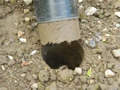 88 X 30,5 X 7,5 Cm Langstieliger Blumenzwiebel Pflanzer | Gartenzubehör Von Garland 17 88 X 30,5 X 7,5 Cm Langstieliger Blumenzwiebel Pflanzer | Gartenzubehör Von Garland -Deutschland Wiesen Pracht Verkaufs-Shop 558876 88 x 30 5 x 7 5 cm Langstieliger Blumenzwiebel Pflanzer W0475 gl 7