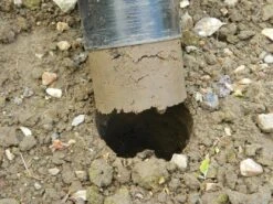 88 X 30,5 X 7,5 Cm Langstieliger Blumenzwiebel Pflanzer | Gartenzubehör Von Garland 14 88 X 30,5 X 7,5 Cm Langstieliger Blumenzwiebel Pflanzer | Gartenzubehör Von Garland -Deutschland Wiesen Pracht Verkaufs-Shop 558876 88 x 30 5 x 7 5 cm Langstieliger Blumenzwiebel Pflanzer W0475 gl 8