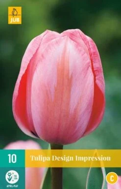 Tulpe Design Impression (10 Stück) | Tulpenzwiebeln Von Jub Holland