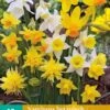 Narzisse Botanisch Mix (10 Stück) | Narzissenzwiebeln Von Jub Holland -Deutschland Wiesen Pracht Verkaufs-Shop 559792 Narzisse Botanisch Mix 10 Stueck 307040 jb 0