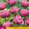 Tulpe Double Lilac (15 Stück) | Tulpenzwiebeln Von Jub Holland -Deutschland Wiesen Pracht Verkaufs-Shop 559946 Tulpe Double Lilac 15 Stueck 322394 jb 0