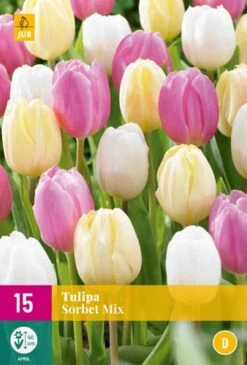 Tulpe Sorbet Mix (15 Stück) | Tulpenzwiebeln Von Jub Holland