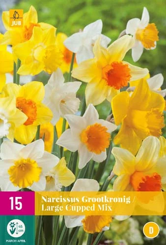 Narzisse Grootkronig Mix (15 Stück) | Narzissenzwiebeln Von Jub Holland 3 Narzisse Grootkronig Mix (15 Stück) | Narzissenzwiebeln Von Jub Holland