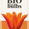 Tulpe Ballerina (7 Stück) | BIO Tulpenzwiebeln Von Jub Holland -Deutschland Wiesen Pracht Verkaufs-Shop 560034 BIO Tulpe Ballerina 10 Stueck 325100 jb 0