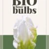 Tulpe White Rebel (7 Stück) | BIO Tulpenzwiebeln Von Jub Holland -Deutschland Wiesen Pracht Verkaufs-Shop 560040 BIO Tulpe White Rebel 10 Stueck 325295 jb 0