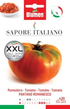 Tomate Pantano Romanesco | Tomatensamen Von BLUMEN Group
