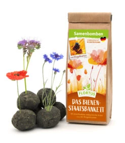 Samenbomben Das Bienenstaatsbankett (6 Stück) | Bienenwiese Von FLORTUS -Deutschland Wiesen Pracht Verkaufs-Shop 562161 Samenbomben Das Bienenstaatsbankett 6 Stueck 2000 2356 1