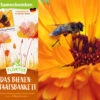 Samenbomben Das Bienenstaatsbankett (6 Stück) | Bienenwiese Von FLORTUS -Deutschland Wiesen Pracht Verkaufs-Shop 562161 Samenbomben Das Bienenstaatsbankett 6 Stueck 2000 2356 2