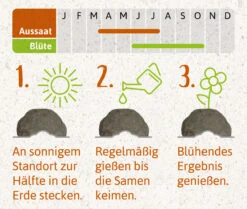 Samenbomben Das Bienenstaatsbankett (6 Stück) | Bienenwiese Von FLORTUS -Deutschland Wiesen Pracht Verkaufs-Shop 562161 Samenbomben Das Bienenstaatsbankett 6 Stueck 2000 2356 4