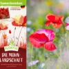 Samenbomben Die Mohnlandschaft (6 Stück) | Mohnsamen Von FLORTUS 1 Samenbomben Die Mohnlandschaft (6 Stück) | Mohnsamen Von FLORTUS -Deutschland Wiesen Pracht Verkaufs-Shop 562163 Samenbomben Die Mohnlandschaft 6 Stueck 2000 1054 2