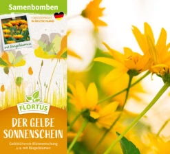 Samenbomben Der Gelbe Sonnenschein (6 Stück) | Blumensamenmischung Von FLORTUS 9 Samenbomben Der Gelbe Sonnenschein (6 Stück) | Blumensamenmischung Von FLORTUS -Deutschland Wiesen Pracht Verkaufs-Shop 562164 Samenbomben Der Gelbe Sonnenschein 6 Stueck 2000 1055 2