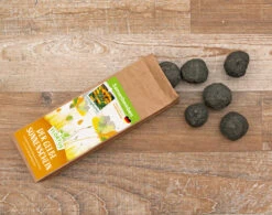 Samenbomben Der Gelbe Sonnenschein (6 Stück) | Blumensamenmischung Von FLORTUS 10 Samenbomben Der Gelbe Sonnenschein (6 Stück) | Blumensamenmischung Von FLORTUS -Deutschland Wiesen Pracht Verkaufs-Shop 562164 Samenbomben Der Gelbe Sonnenschein 6 Stueck 2000 1055 3