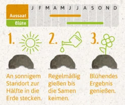 Samenbomben Der Gelbe Sonnenschein (6 Stück) | Blumensamenmischung Von FLORTUS 13 Samenbomben Der Gelbe Sonnenschein (6 Stück) | Blumensamenmischung Von FLORTUS -Deutschland Wiesen Pracht Verkaufs-Shop 562164 Samenbomben Der Gelbe Sonnenschein 6 Stueck 2000 1055 4