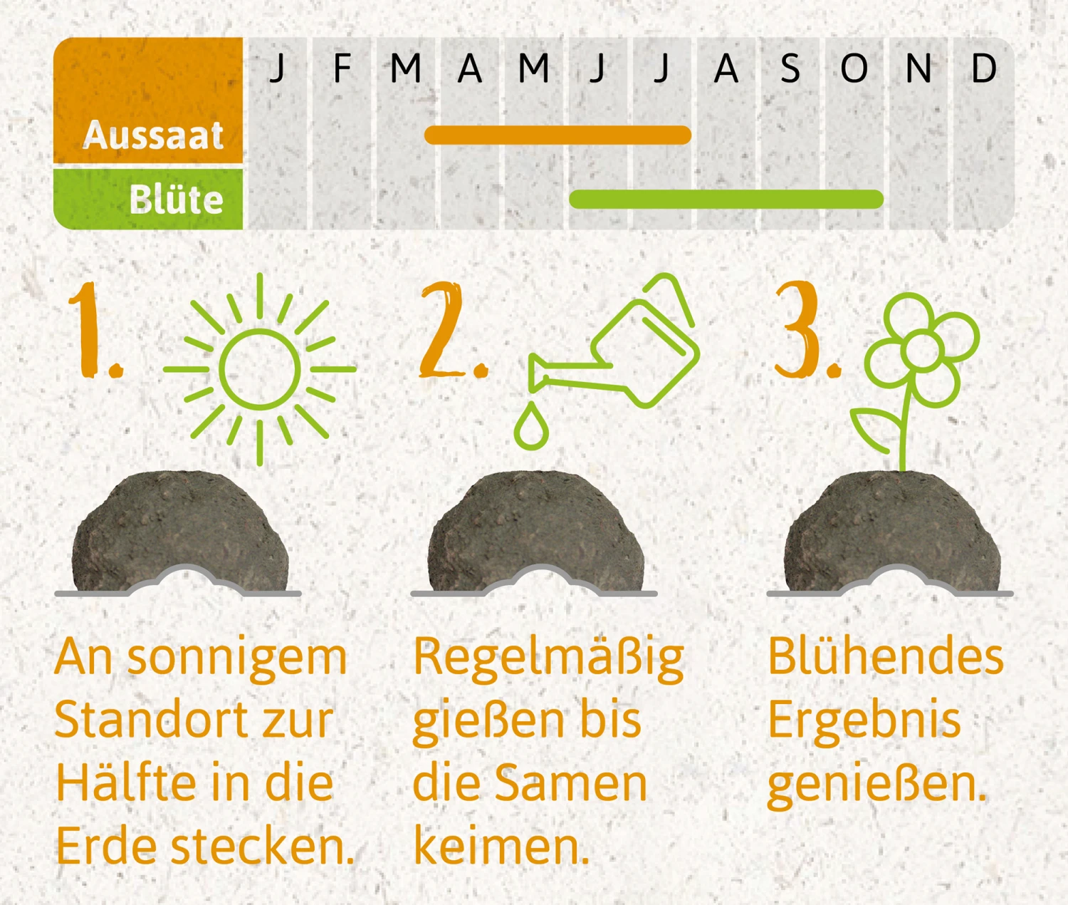 Samenbomben Der Gelbe Sonnenschein (6 Stück) | Blumensamenmischung Von FLORTUS 8 Samenbomben Der Gelbe Sonnenschein (6 Stück) | Blumensamenmischung Von FLORTUS – Bild 6