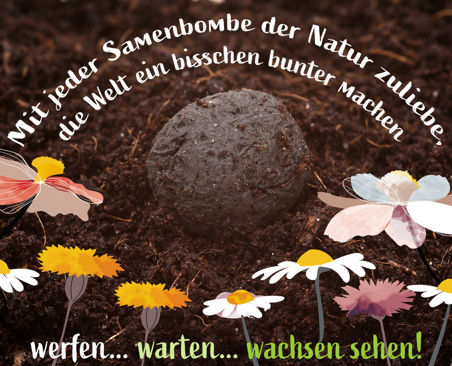 Samenbomben Der Gelbe Sonnenschein (6 Stück) | Blumensamenmischung Von FLORTUS 3 Samenbomben Der Gelbe Sonnenschein (6 Stück) | Blumensamenmischung Von FLORTUS