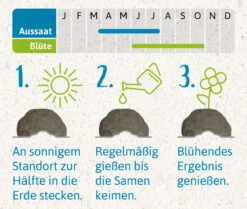 Samenbomben Urlaub Auf Balkonien (6 Stück) | Blumensamenmischung Von FLORTUS -Deutschland Wiesen Pracht Verkaufs-Shop 562167 Samenbomben Urlaub auf Balkonien 6 Stueck 2000 1058 4