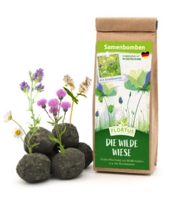 Samenbomben Die Wilde Wiese (6 Stück) | Wildblumenwiese Von FLORTUS -Deutschland Wiesen Pracht Verkaufs-Shop 562168 Samenbomben Die wilde Wiese 6 Stueck 2000 1059 1