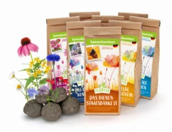 Samenbomben Set (8 Päckchen) | Blumensamenmischung Von FLORTUS 15 Samenbomben Set (8 Päckchen) | Blumensamenmischung Von FLORTUS -Deutschland Wiesen Pracht Verkaufs-Shop 562498 Samenbomben Set 8 Paeckchen 2000 2367 1