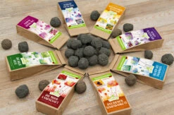 Samenbomben Set (8 Päckchen) | Blumensamenmischung Von FLORTUS 13 Samenbomben Set (8 Päckchen) | Blumensamenmischung Von FLORTUS -Deutschland Wiesen Pracht Verkaufs-Shop 562498 Samenbomben Set 8 Paeckchen 2000 2367 3