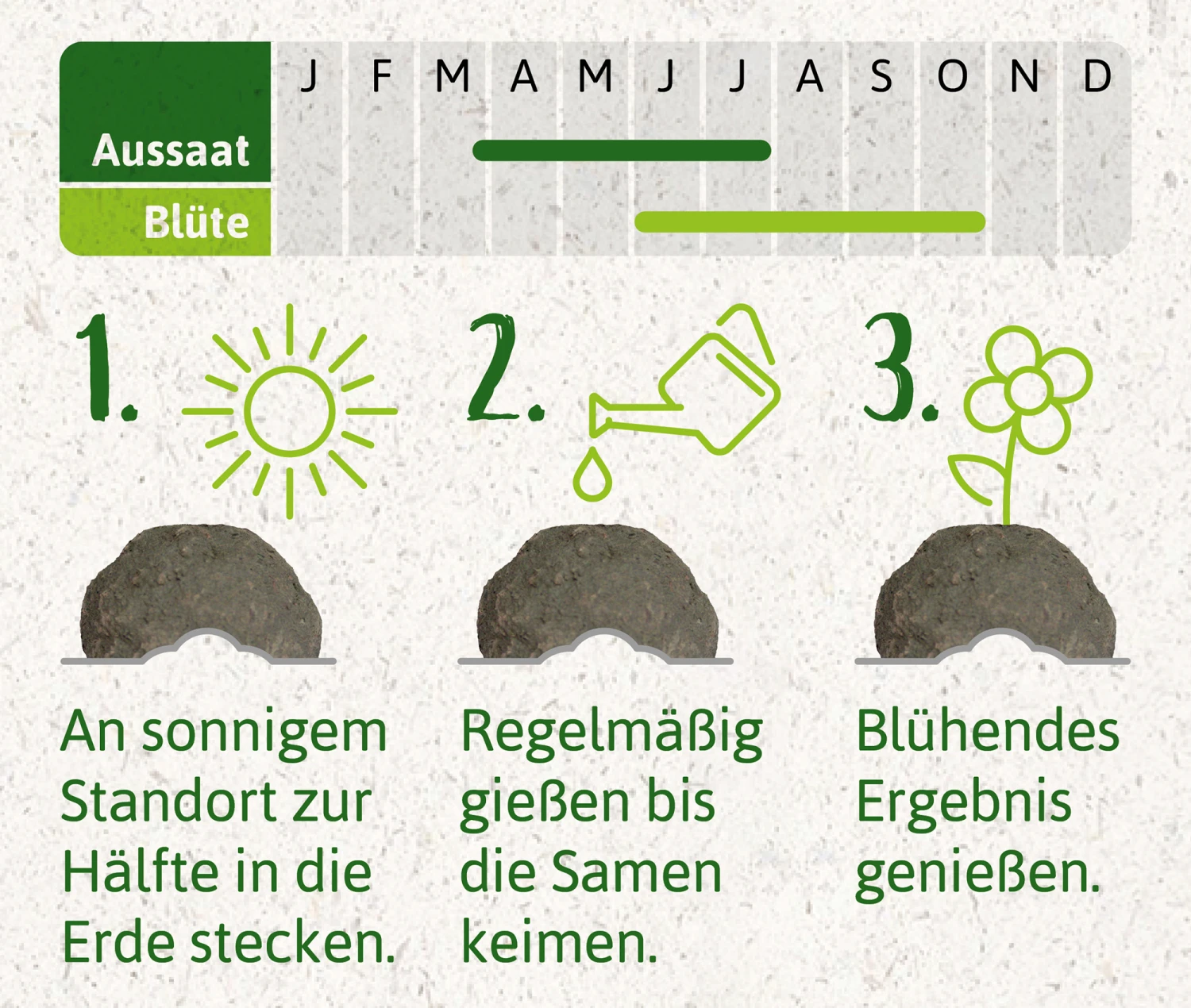 Samenbomben Set (8 Päckchen) | Blumensamenmischung Von FLORTUS 10 Samenbomben Set (8 Päckchen) | Blumensamenmischung Von FLORTUS – Bild 8