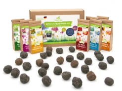Samenbomben Set (8 Päckchen) | Blumensamenmischung Von FLORTUS 12 Samenbomben Set (8 Päckchen) | Blumensamenmischung Von FLORTUS -Deutschland Wiesen Pracht Verkaufs-Shop 562498 Samenbomben Set 8 Paeckchen 2000 2367 5