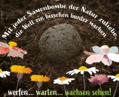 Samenbomben Set (8 Päckchen) | Blumensamenmischung Von FLORTUS 14 Samenbomben Set (8 Päckchen) | Blumensamenmischung Von FLORTUS -Deutschland Wiesen Pracht Verkaufs-Shop 562498 Samenbomben Set 8 Paeckchen 2000 2367 7 1